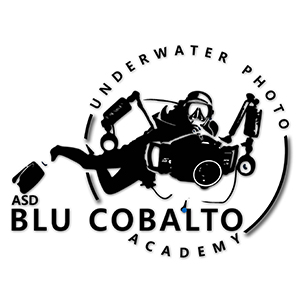 BLU COBALTO UNDERWATER PHOTO ACADEMY