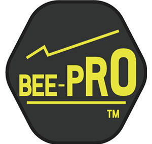 BEE PRO LUXURY DIVING EXPERIENCE