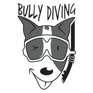 BULLY Diving