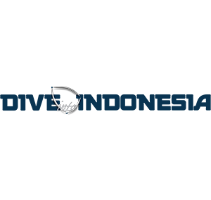 BEST DIVING IN INDONESIA