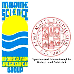 MARINE SCIENCE GROUP - Alma Mater Studiorum - Università di Bologna