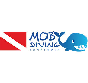 MOBY DIVING