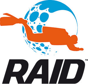 RAID Italia by NGD Srl
