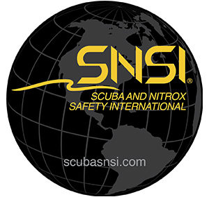 S.N.S.I.