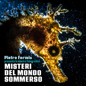 MISTERI DEL MONDO SOMMERSO - Mostra fotografica a cura di Pietro Formis