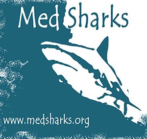 MED SHARKS