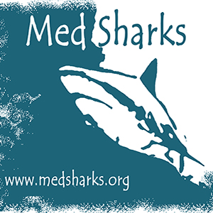 MED SHARKS