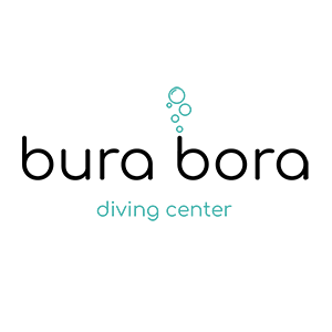 Diving Network