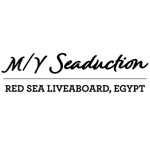 My Seaduction - Red Sea Egypt