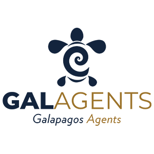GALAGENTS Galapagos Cruiser