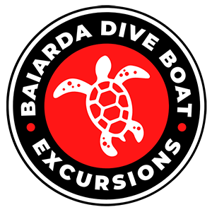 BAIARDA DIVE BOAT