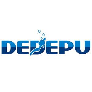 SHENZEN DEDEPU Technology Co. Ltd