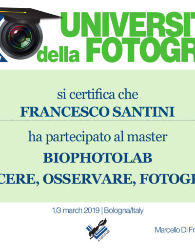 Francesco Santini - Attestato di partecipazione - 2019