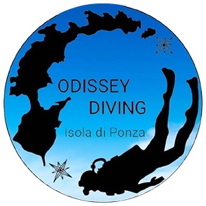 ODISSEY DIVING PONZA