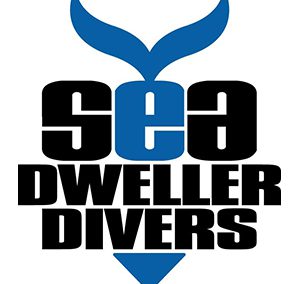 SEA DWELLER DIVERS di Edoardo Pavia